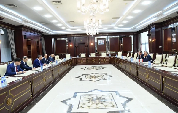 Səməd Seyidov və ATƏT PA-nın prezidenti Cənubi Qafqazda sülh prosesini müzakirə ediblər