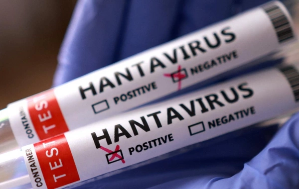 Hantavirusun yayıldığı kruiz gəmisi yenidən səfərə çıxır