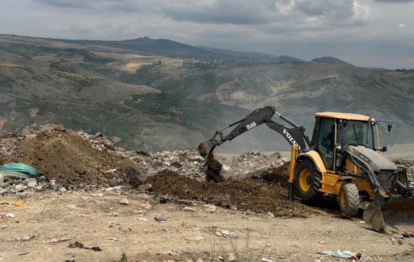 İdxal olunan nektarin tingində gavalının cibcibə virusu aşkarlanıb