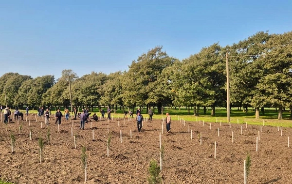 Zəfər Günü ilə əlaqədar 30 mindən artıq ağac əkildi