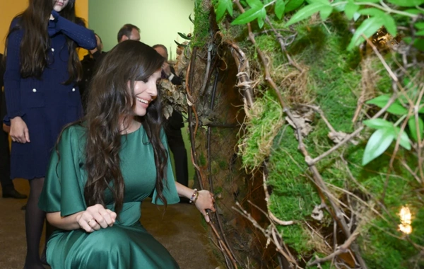 Heydər Əliyev Mərkəzində "Art Weekend"in rəsmi açılışı olub