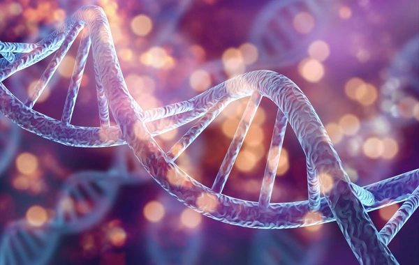 Scientists discovered 6 living relatives of the genius of all time through DNA