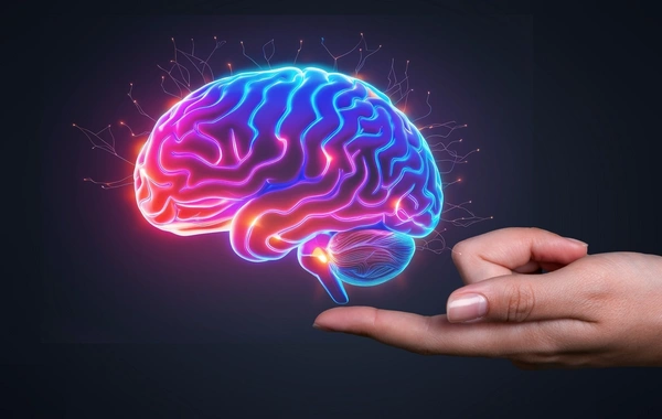 Ученым впервые в истории удалось воскресить замороженный мозг