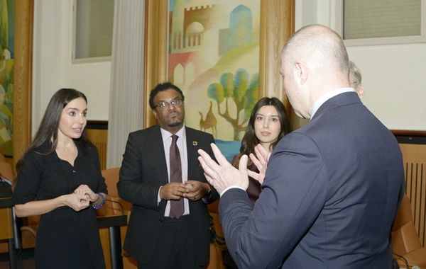 Лейла Алиева встретилась с генеральным директором Женевского офиса ООН