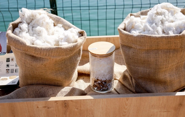 Trendyolmilla ilkə imza atıb: Regenerativ pambıqdan cins kolleksiyası