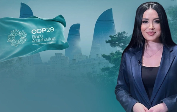 Azərbaycandan islam ölkələrinə yeni yanaşma: D-8 üzvlüyü Bakının gücünü necə artıracaq?