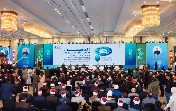 Рамин Мамедов принял участие в международной конференции в Каире