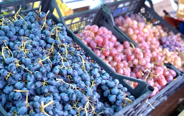 Xankəndidə "Kənddən Şəhərə" Novruz yarmarkası keçirilir