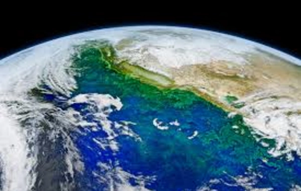 The Secret of Survival of Organisms in the Earth's Depths Revealed