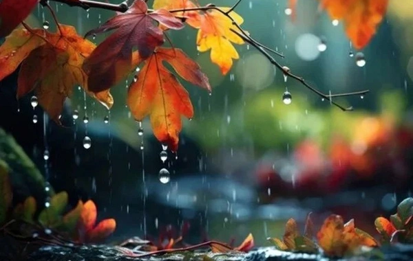 İlin son gününün havası açıqlandı - PROQNOZ