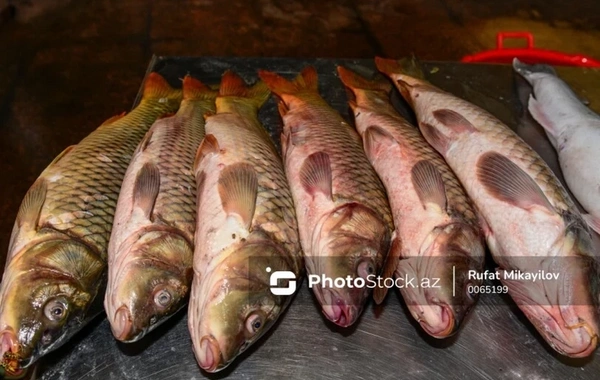 Обмеление Каспия привело к серьезному последствию