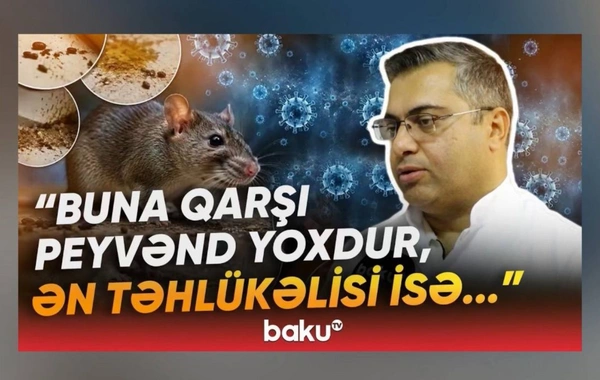 Yeni yayılan virusla bağlı xəbərdarlıq: Xəstələr çox vaxt bu cür şoka düşür - Baku TV