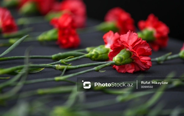 Трагедия 20 Января: как гвоздики из символа любви превратились в цветы скорби