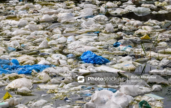 Polis sahilyanı əraziləri zibilliyən 20 nəfəri CƏRİMƏLƏYİB