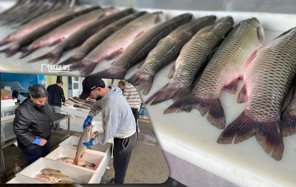 Ət əvəzinə hamı balıq alır - Bazarda SON QİYMƏTLƏR