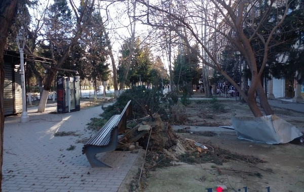 Mingəçevirdə güclü külək mərkəzi xəstəxananın binasına ziyan vurdu