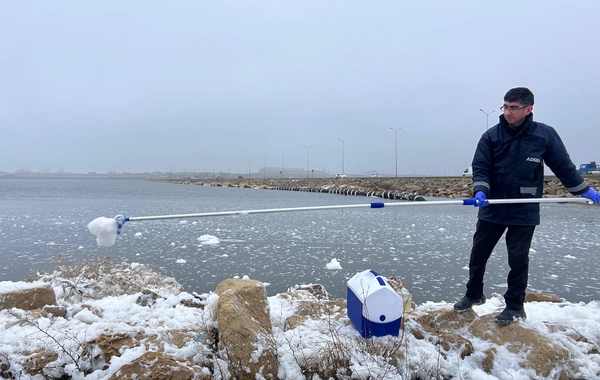 Böyükşor gölünə kanalizasiya axıdılır? - RƏSMİ
