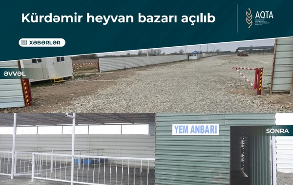 Kürdəmirdə heyvan bazarı yenidən açılıb