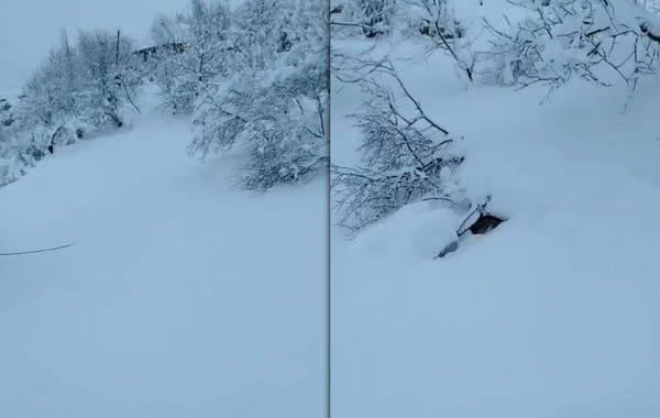 Yardımlıda qar çətinliklər yaratdı - İşıq, yol və internet yoxdur