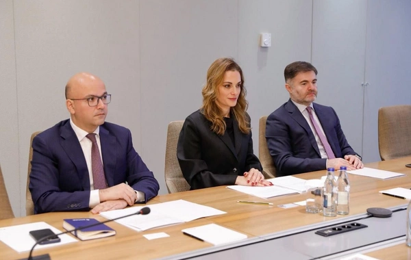 SOCAR və Beynəlxalq Əmək Təşkilatı potensial əməkdaşlıq imkanlarını nəzərdən keçirib