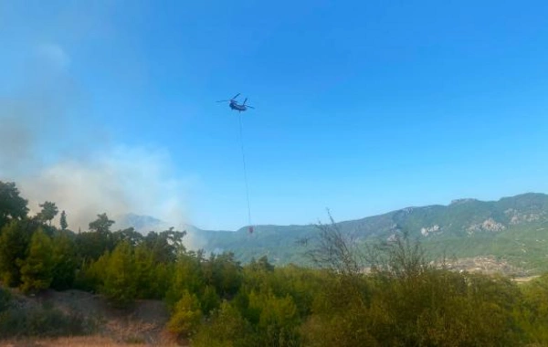 Antalyada meşə yanğını: Havadan və qurudan müdaxilə edilir
