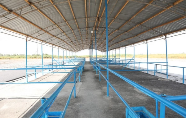Ağdaş heyvan satışı bazarı fəaliyyətə başlayıb