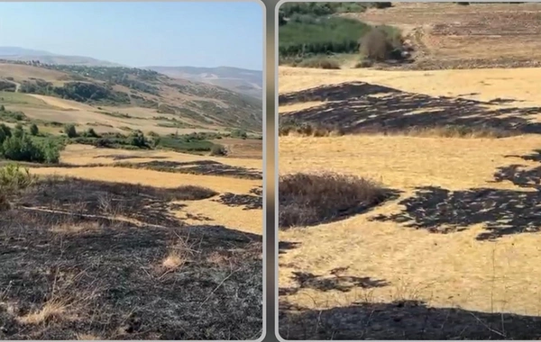 Şamaxıda yanğın törədən şəxs məsuliyyətə cəlb olunub