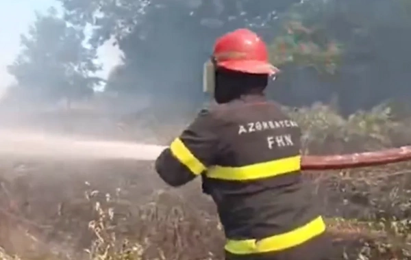 Lənkəranda açıq ərazidə yanğın başlayıb
