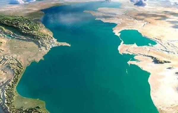5 ölkə Xəzərin su bioresursları üzrə vahid məlumat bazası yarada bilər