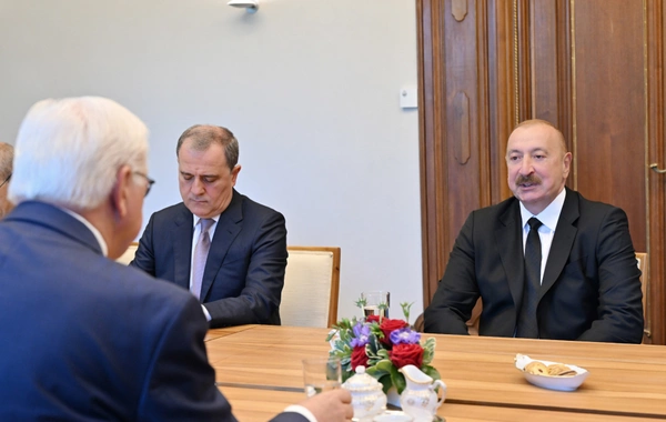 Azərbaycan və Almaniya prezidentlərinin geniş tərkibdə görüşü olub