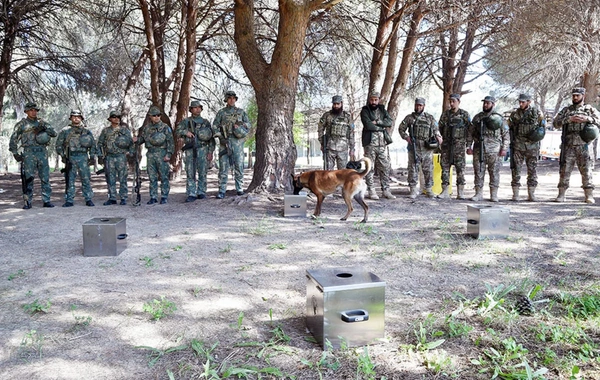 Hərbçilərimizin Türkiyədə iştirak etdiyi çoxmillətli birgə təlimdən GÖRÜNTÜLƏRİ