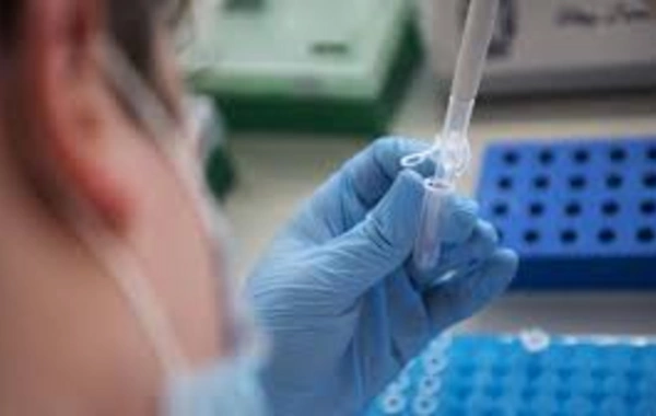 Scientists from Japan have found a way to treat Parkinson's disease