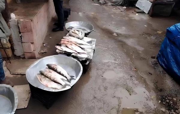 Neftçala ərzaq bazarında nöqsanlar aşkarlanıb