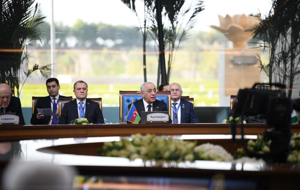 Əli Əsədov Qahirədə Yaxın Şərqdəki böhrana həsr olunmuş xüsusi sessiyada iştirak edib