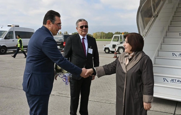 Sahibə Qafarova İsveçrəyə işgüzar səfər edib