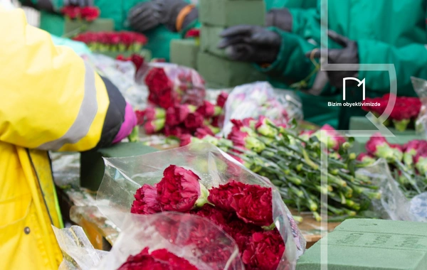 В Баку началась подготовка к 36-й годовщине трагедии 20 Января