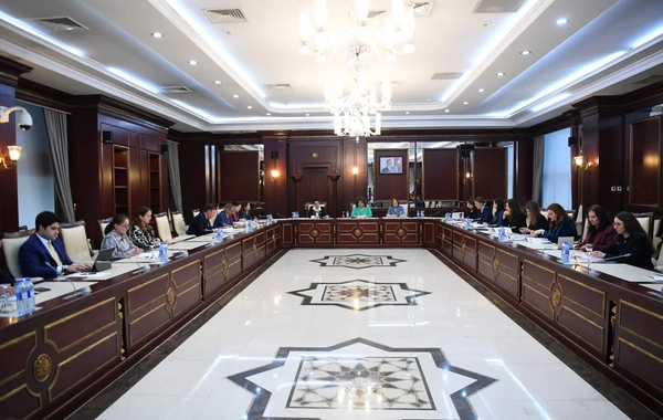 Parlamentin komitə iclasında Ailə, Qadın və Uşaq Problemləri üzrə  Dövlət Komitəsinin məlumatı müzakirə olunub