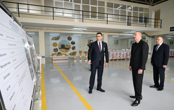 Sabirabad Sənaye Məhəlləsində toxum istehsalı müəssisəsinin fəaliyyəti ilə tanışlıq Sabirabad Sənaye Məhəlləsində toxum istehsalı müəssisəsinin fəaliyyəti ilə tanışlıq