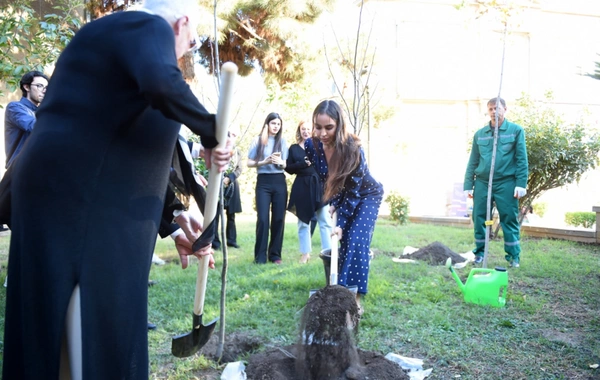 "ART Weekend" çərçivəsində "Püstə: canlı irs" performansı təqdim edilib "ART Weekend" çərçivəsində "Püstə: canlı irs" performansı təqdim edilib