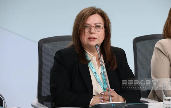 Nərgiz Qaracayeva: Azad edilmiş ərazilər Azərbaycanın yaşıl iqtisadiyyatının inkişafına töhfə verəcək