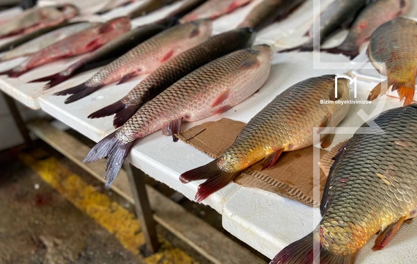 Ət əvəzinə hamı balıq alır - Bazarda SON QİYMƏTLƏR