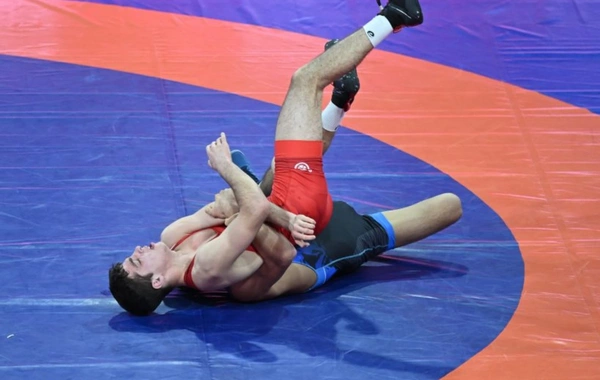 Azərbaycan çempionatı: Sərbəst güləş üzrə daha 5 çəkidə finalçılar bəlli oldu