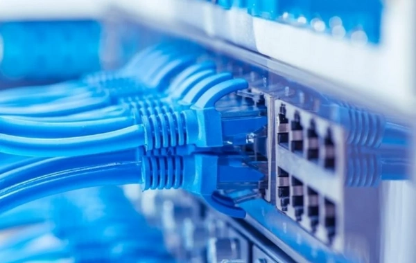 Azərbaycandakı internet trafikində botların payı kəskin azalıb