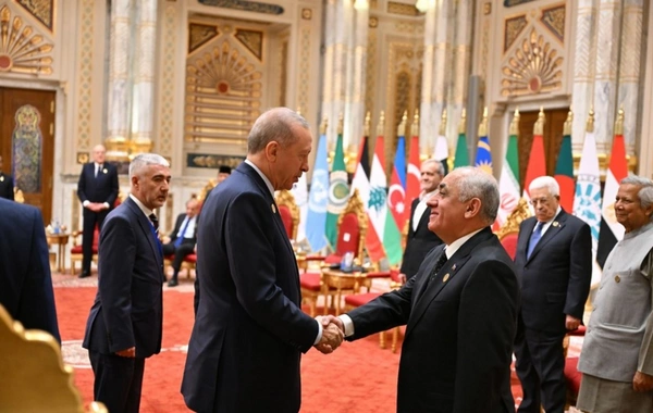 Али Асадов встретился с Реджепом Тайипом Эрдоганом и лидерами других стран