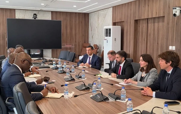 SOCAR-ın prezidenti Kot-d'İvuarda görüşlər keçirib