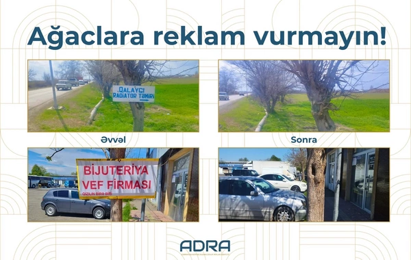 Ağaclara qanunsuz yerləşdirilən 267 reklam qurğusu söküldü