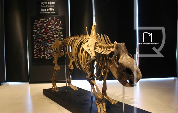 Palçıq Vulkanları Turizm Kompleksi – Azərbaycanın təbiət möcüzələrinə açılan yeni qapı