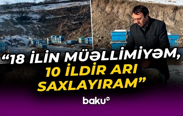 Arıçılıqla məşğul olan müəllim: "Kəlbəcərdəki balın artımı buna görə çoxdur"