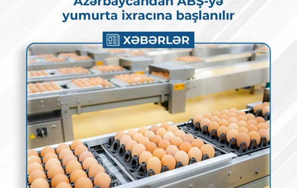 Azərbaycandan ABŞ-yə yumurta ixracına başlanılır