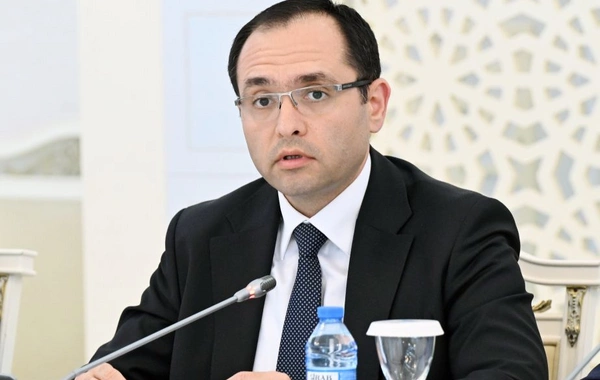 Nazir ətin bahalaşmasından danışdı